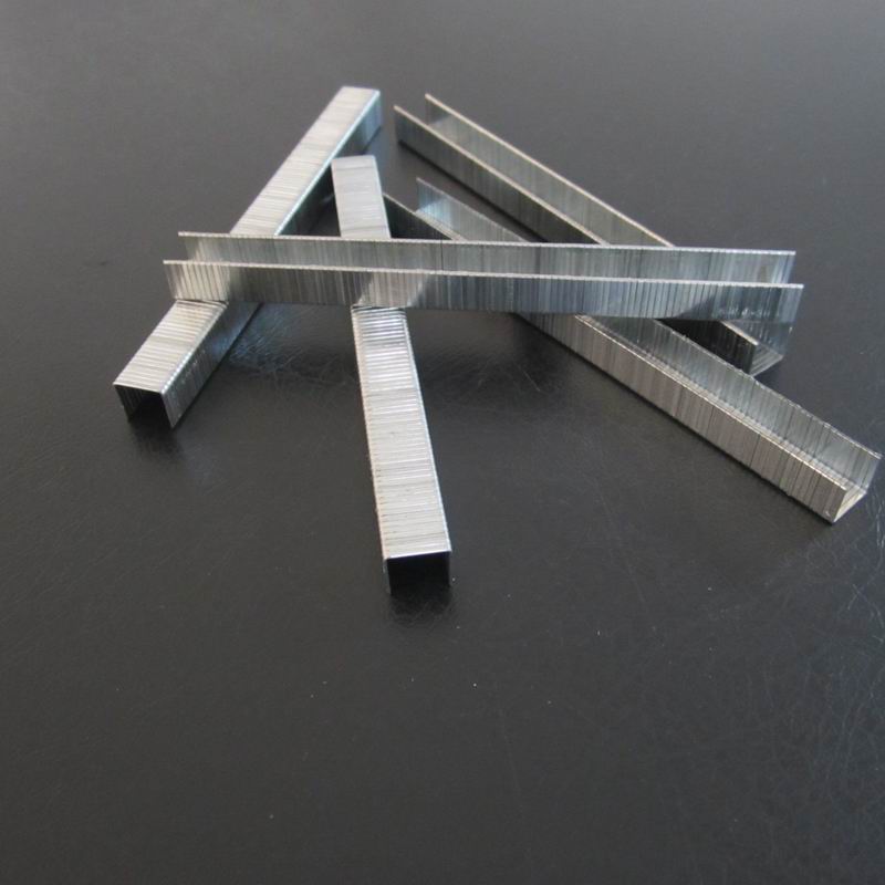 A11  staple